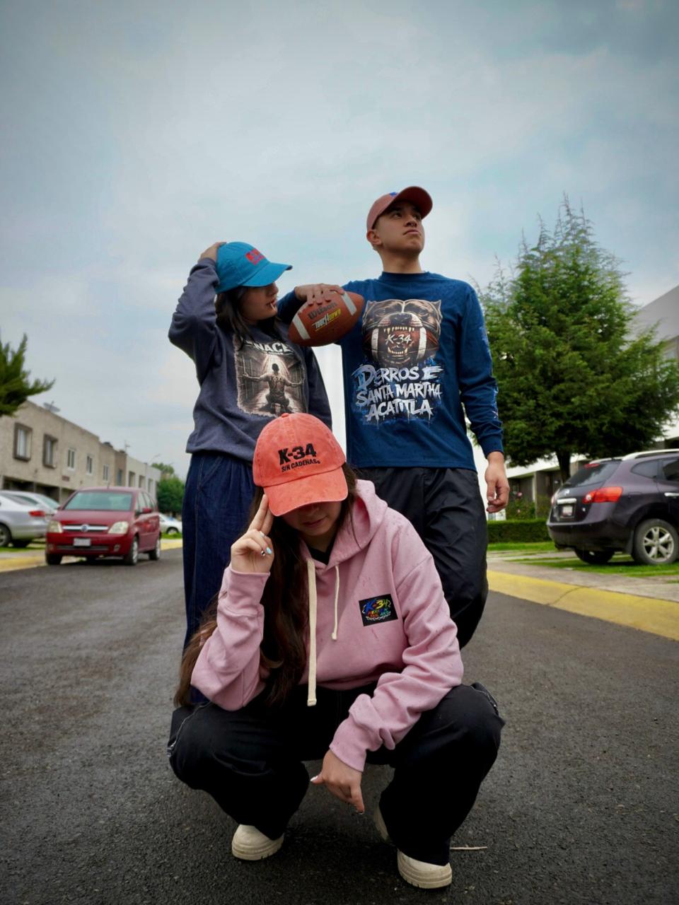 Sudadera RENACE navy, manga larga Perros de Santa Martha y hoodie rosa Saturno